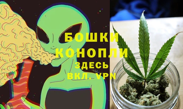 дживик Аркадак