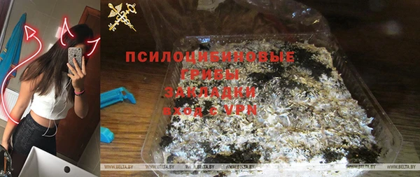 спайс Баксан