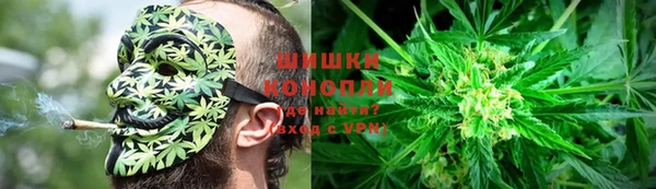 дживик Аркадак