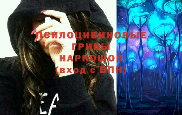 спиды Армянск
