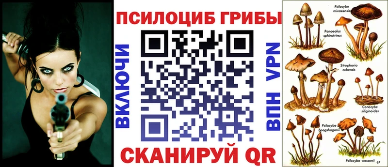 что такое   Сочи  Псилоцибиновые грибы мицелий 